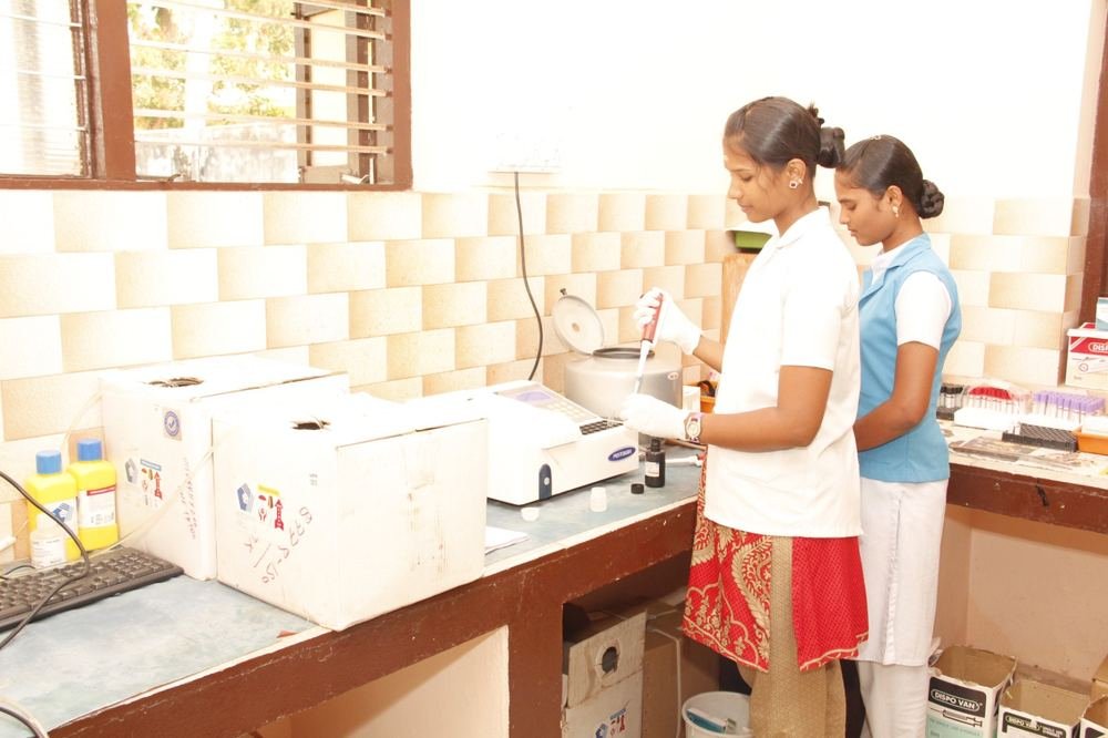 Laboratory technicians processing diagnostic blood samples